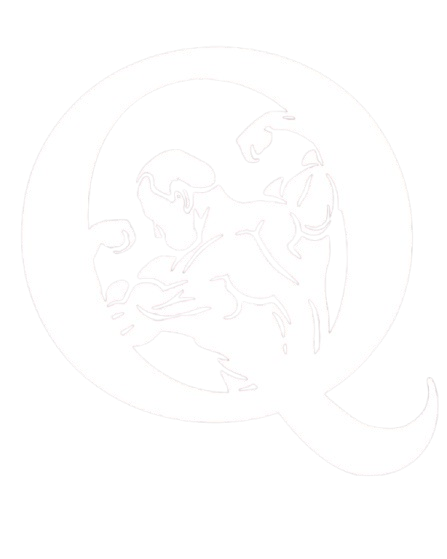 Logo da Quimera Suplementos